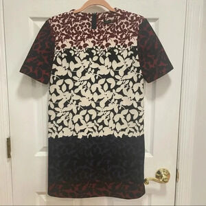 Zara Women's Floral Short Sleeve Sheath Work Dress XS